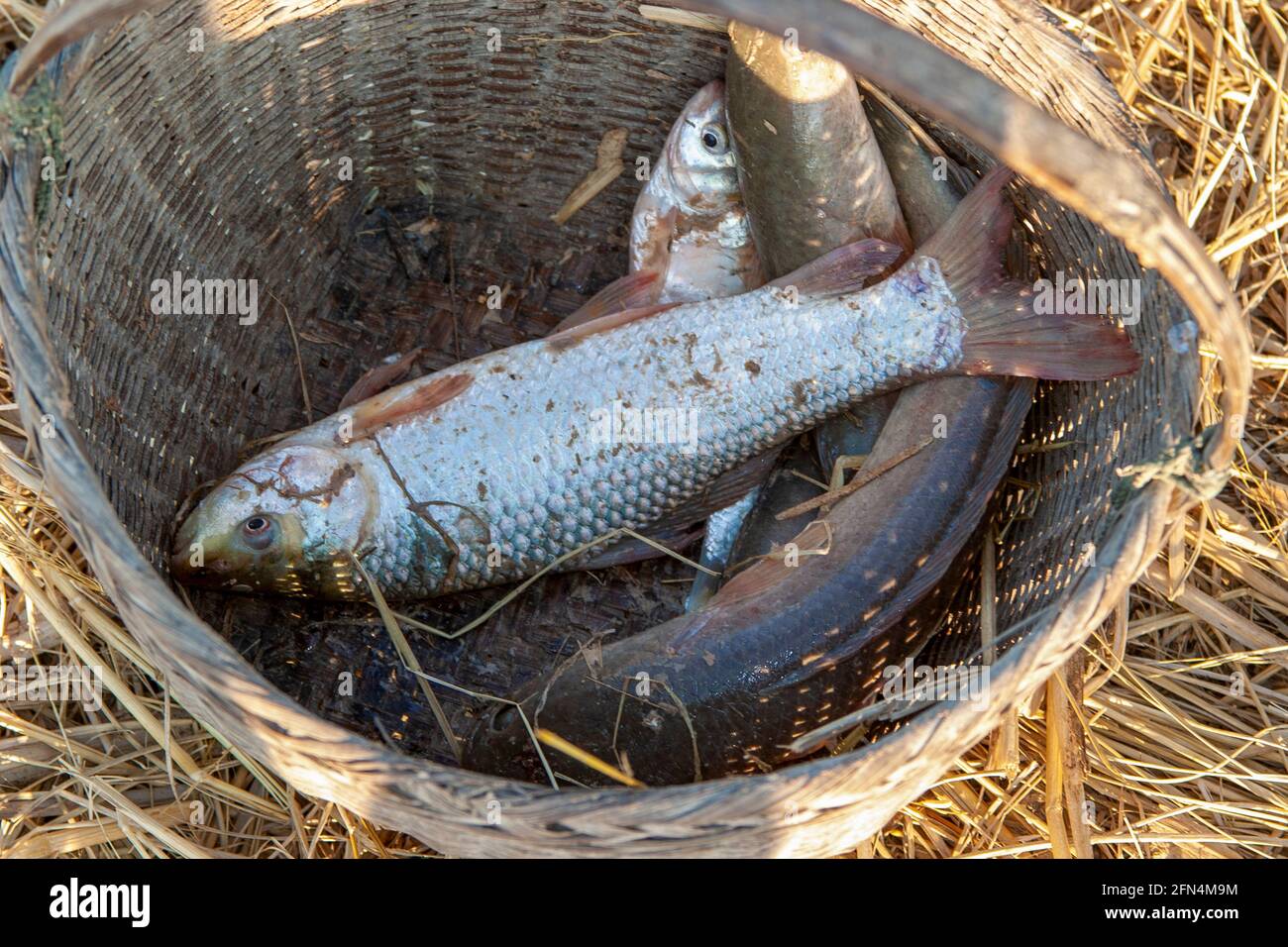 Traditional thai fisherman fishing basket hi-res stock photography