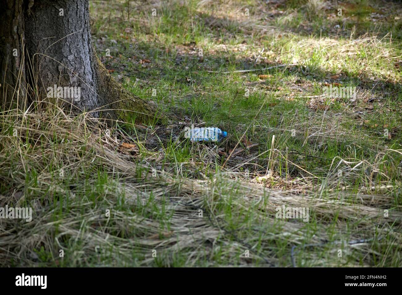 plastic water bottle in the grass, garbage Stock Photo - Alamy