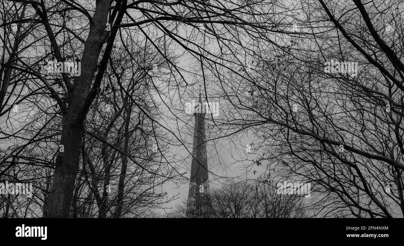 Eiffel Tower seen through trees from Trocadéro Gardens in winter - black and white Stock Photo