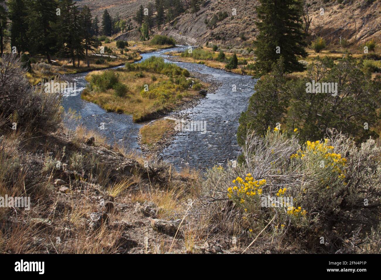 Lava creek trail yellowstone 2025
