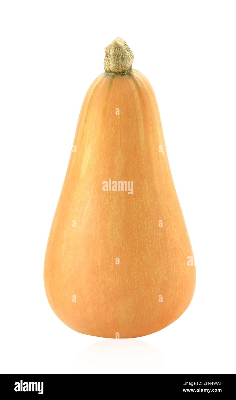 pumpkin isolated on white background Stock Photo - Alamy