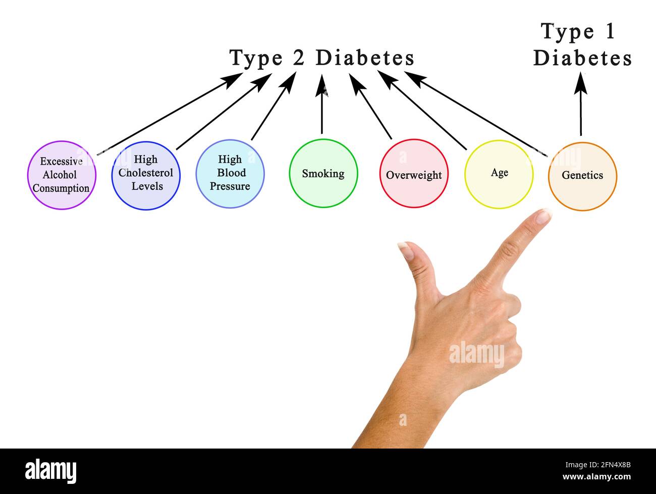 Type 2 Diabetes Diagram Hi-res Stock Photography And Images - Alamy