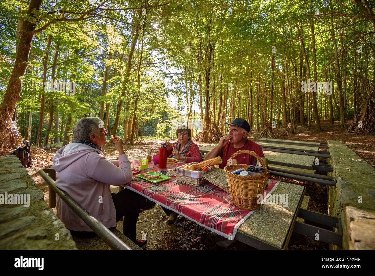 Eating in the La Guardiola recreational area in the beech forest of Santa Fe de Montseny (Montseny, Catalonia, Spain) Stock Photo