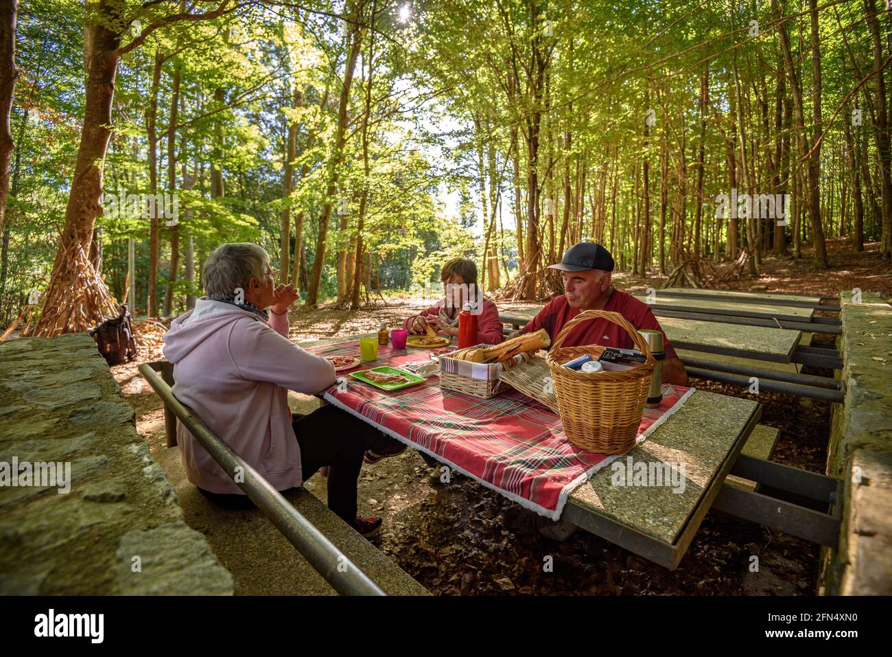 Eating in the La Guardiola recreational area in the beech forest of Santa Fe de Montseny (Montseny, Catalonia, Spain) Stock Photo