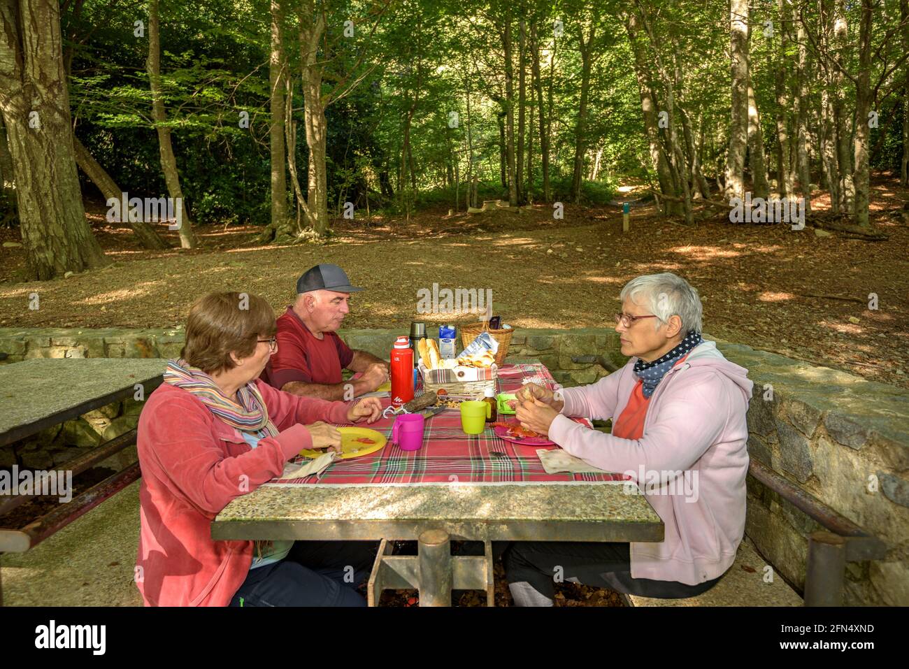 Eating in the La Guardiola recreational area in the beech forest of Santa Fe de Montseny (Montseny, Catalonia, Spain) Stock Photo