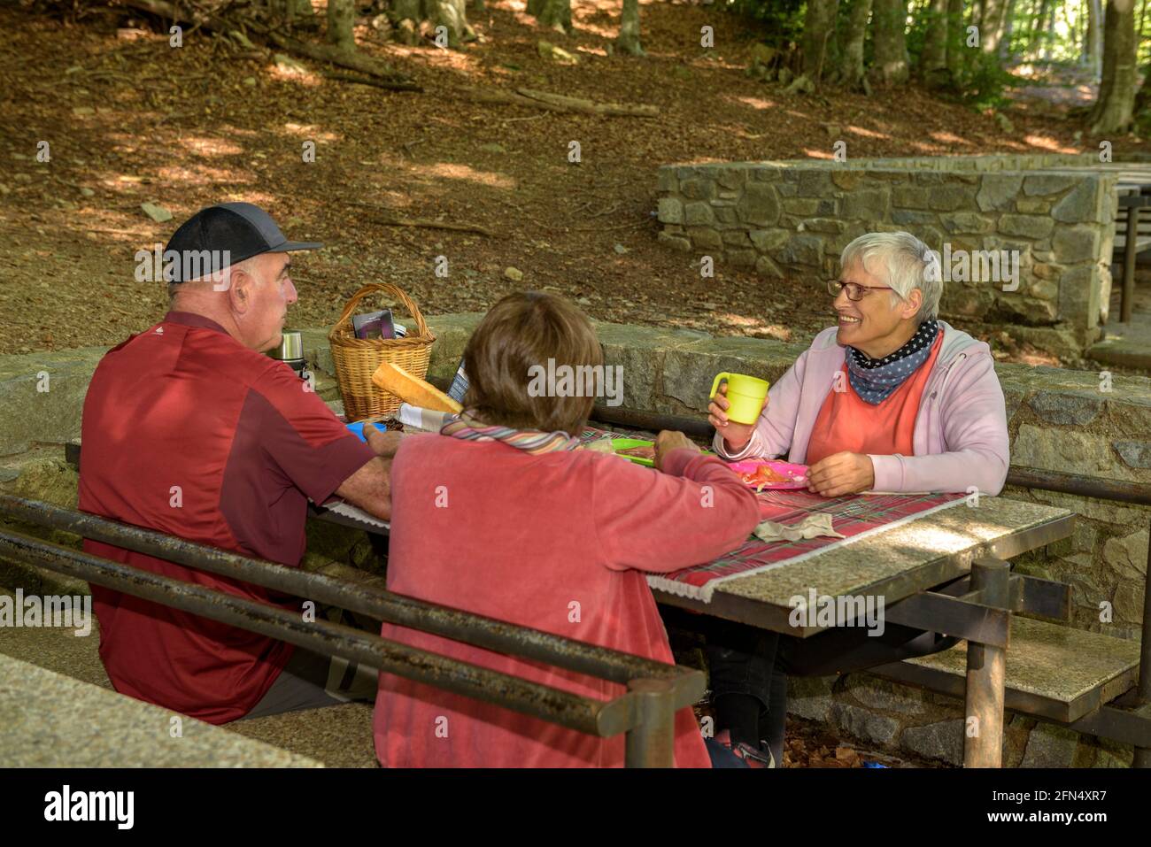 Eating in the La Guardiola recreational area in the beech forest of Santa Fe de Montseny (Montseny, Catalonia, Spain) Stock Photo