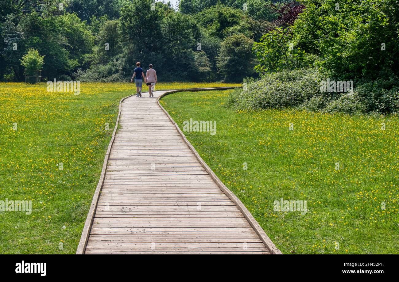 Two people walking on the boardwalk in Hatfield Forest, Essex, UK. An ancient woodland, National Nature Reserve and a Nature Conservation Review site. Stock Photo