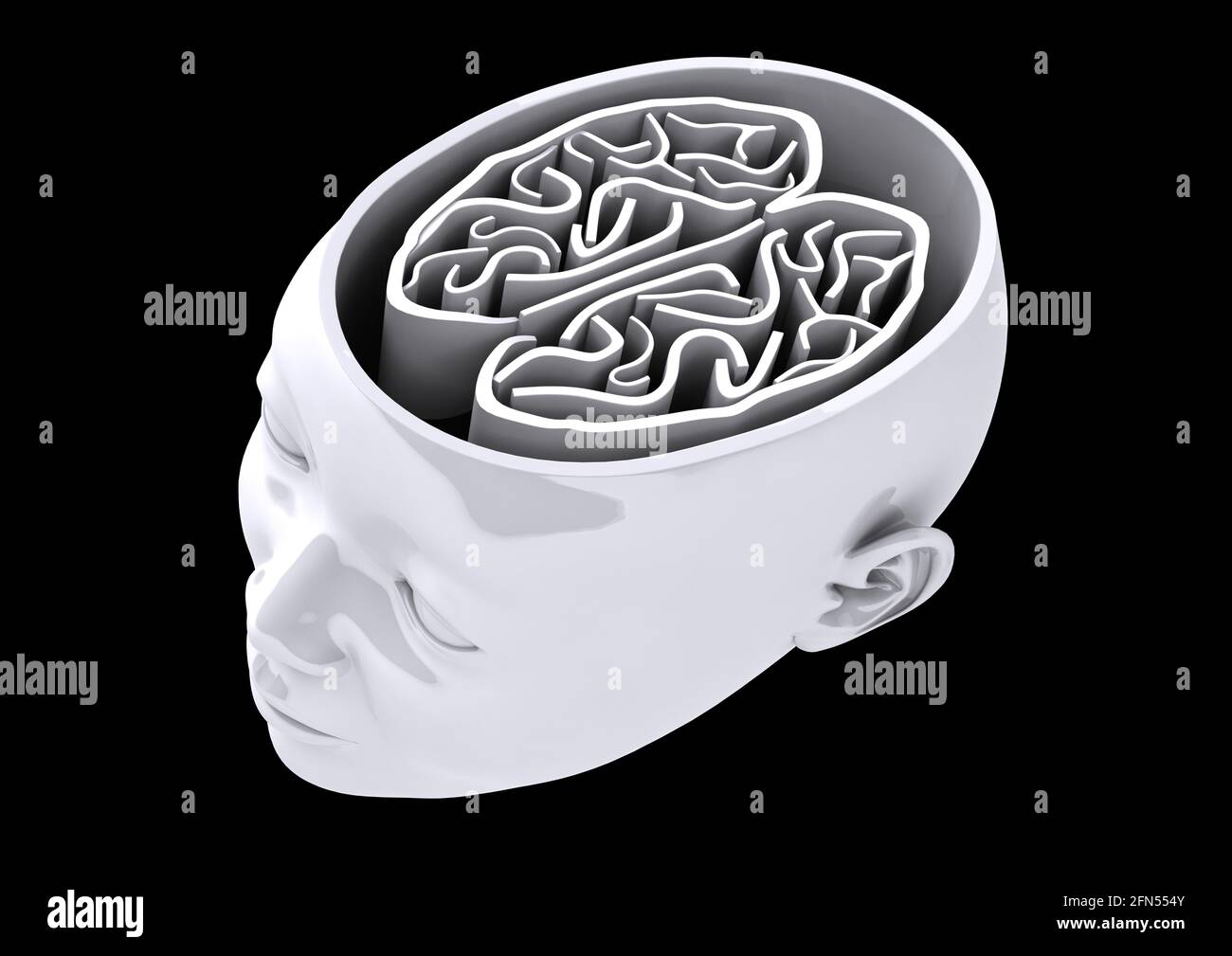 Illustration of grey human head with visible brain on black background Stock Photo