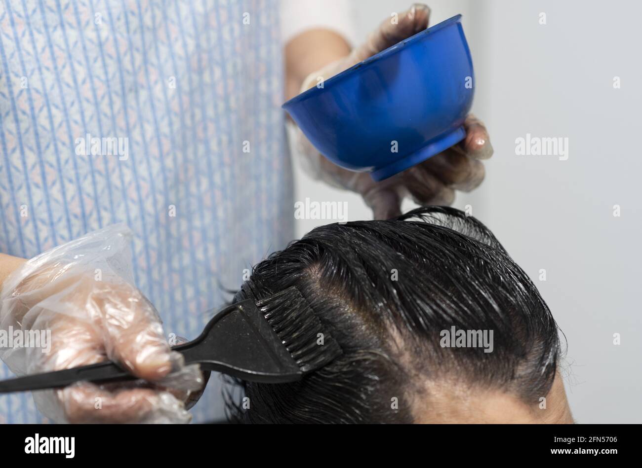 Hairdresser with singleuse plastic gloves dying a woman's hair roots