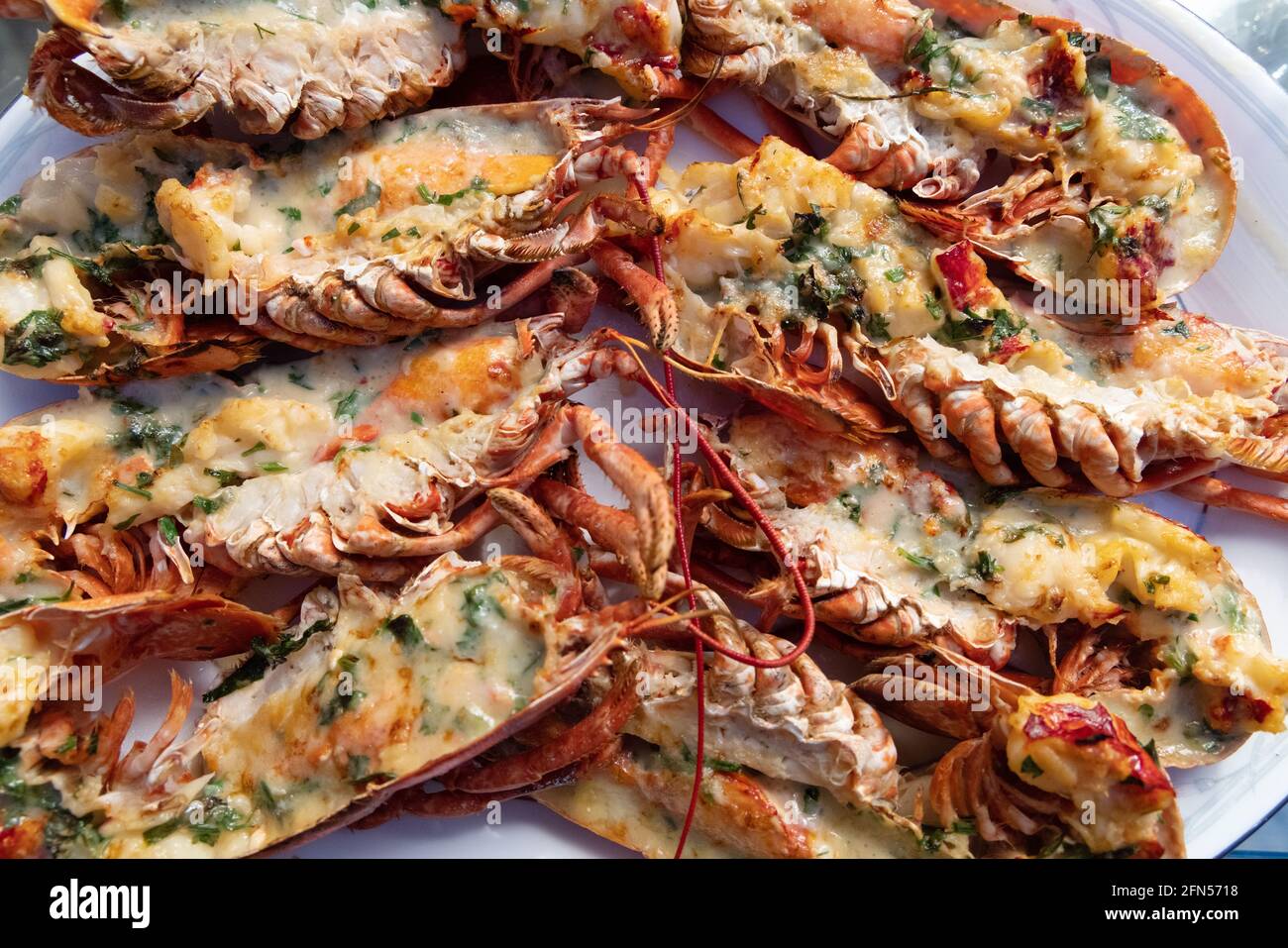 Lobster Thermidor; several lobsters served on a bone china plate with shallots, mustard, herbs and parmesan; UK Stock Photo