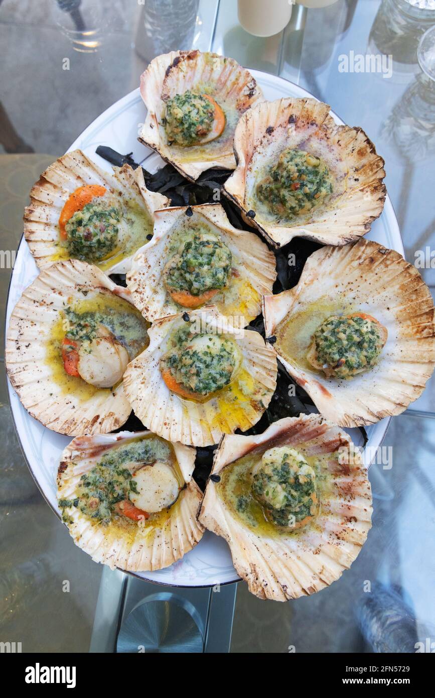 Grilled scallops in their shells served on a bone china plate as a starter; with butter, hazlenuts, and herbs -  seafood served in the UK Stock Photo