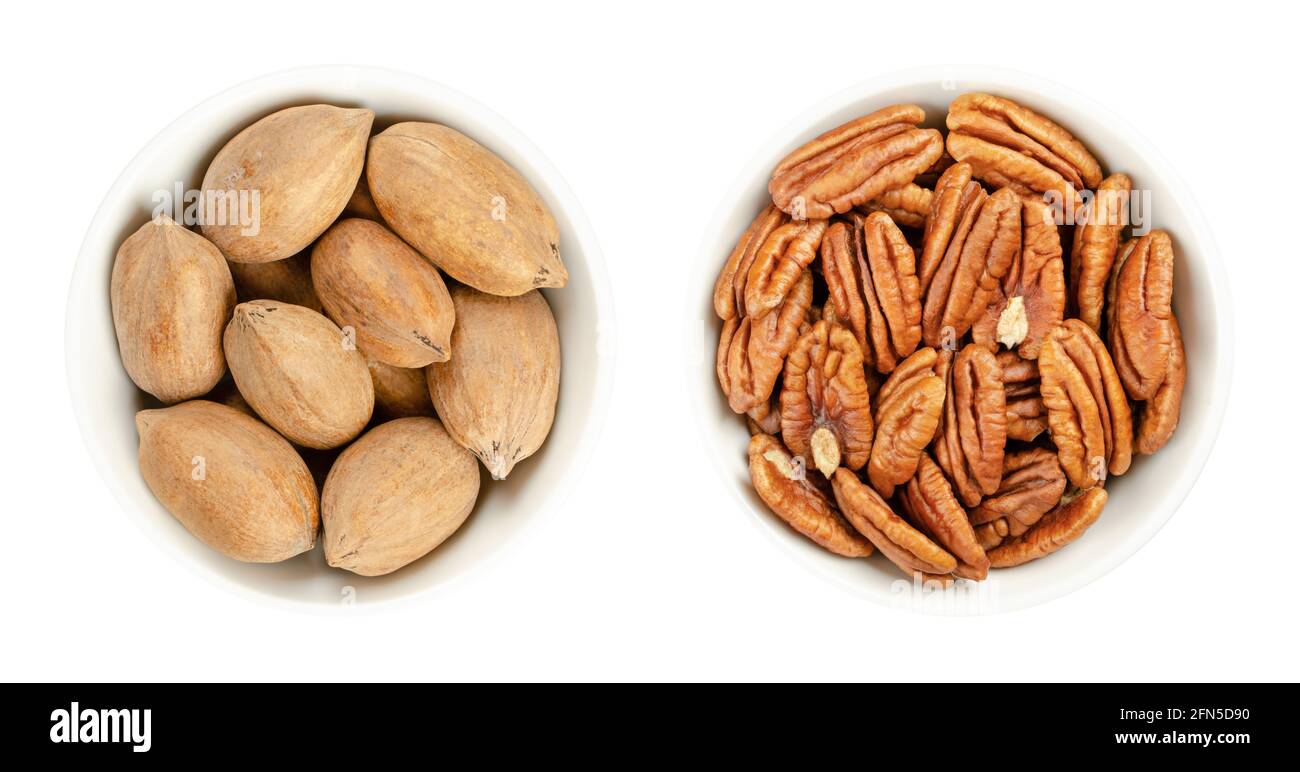 Pecan nuts, shelled and unshelled, in white bowls. Whole pecans and pecan halves, seeds and edible nuts of Carya illinoinensis, used as snack. Stock Photo