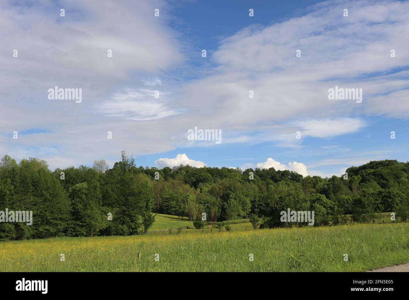 Mountain landscape with green meadows and forest on a sunny spring day Stock Photo
