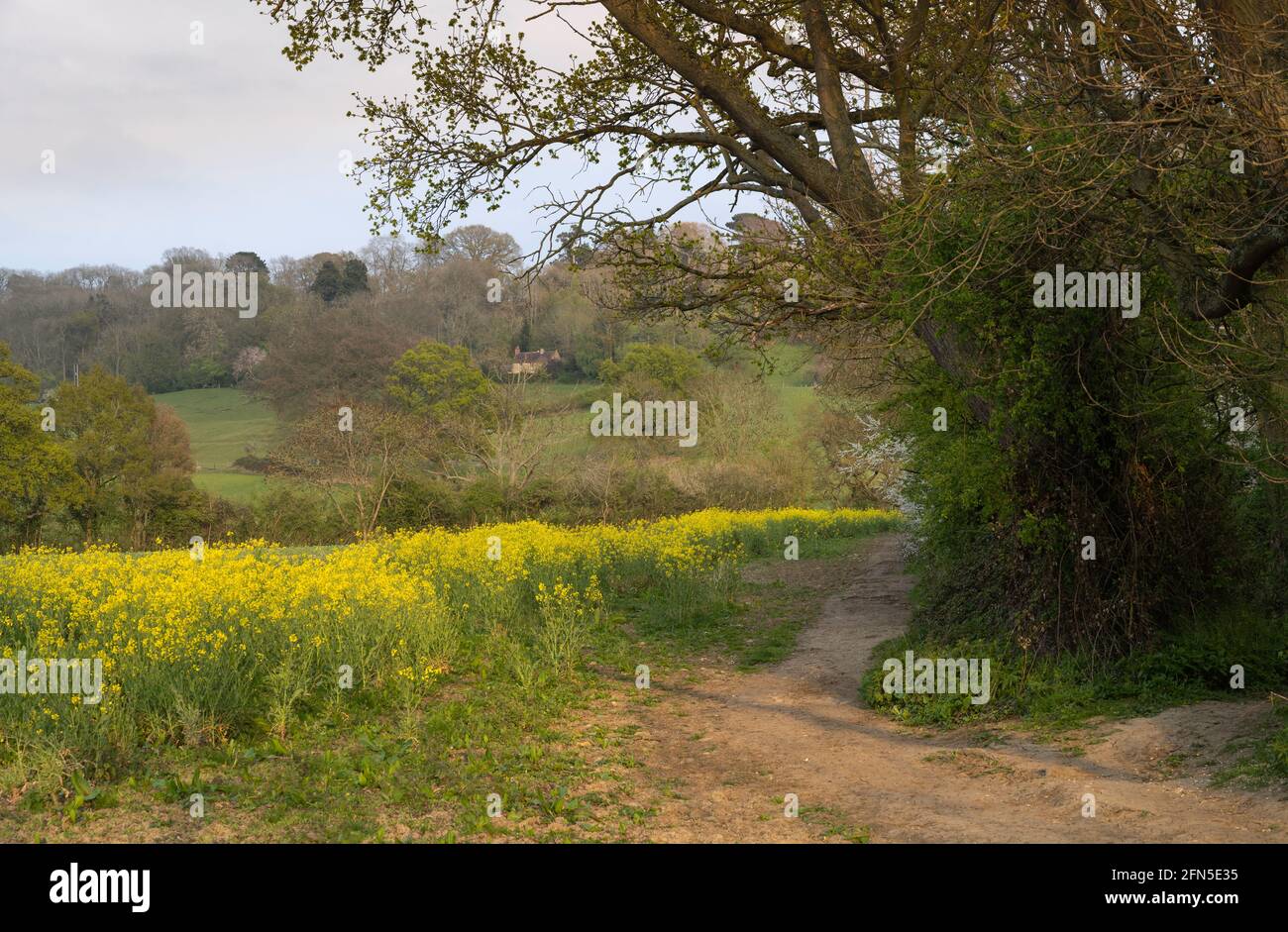 Farmland at Mickleton, rural North Cotswolds, England Stock Photo
