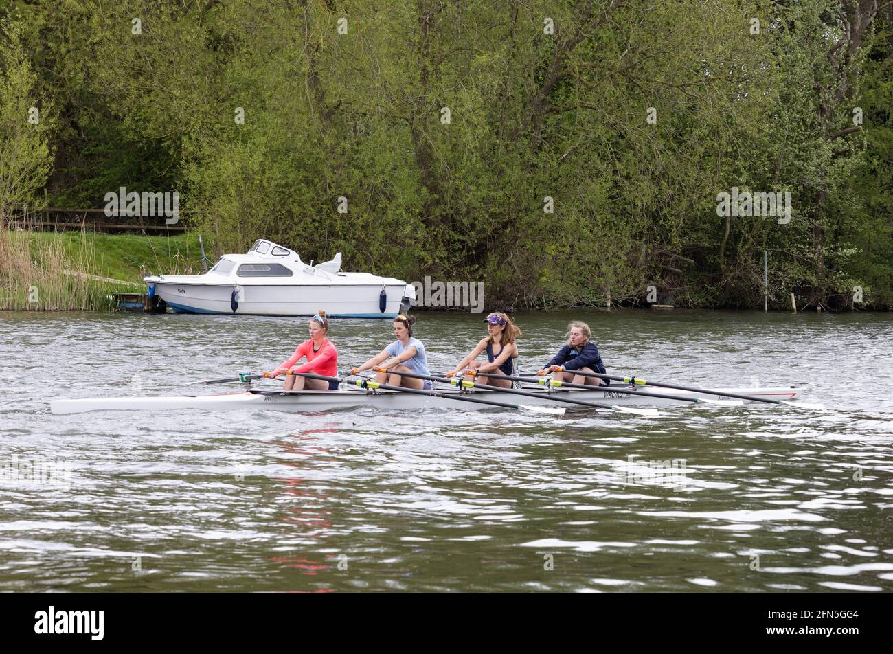 Women rowing UK; A womens' coxless four rowing on the river Thames at Wallingford, Oxfordshire UK Stock Photo