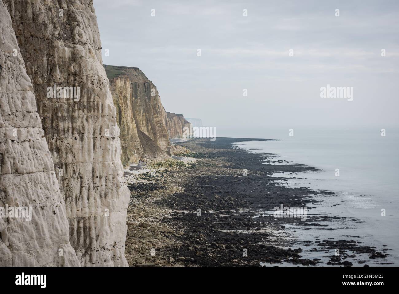 The chalk cliffs and undercliff between Peacehaven and Newhaven in