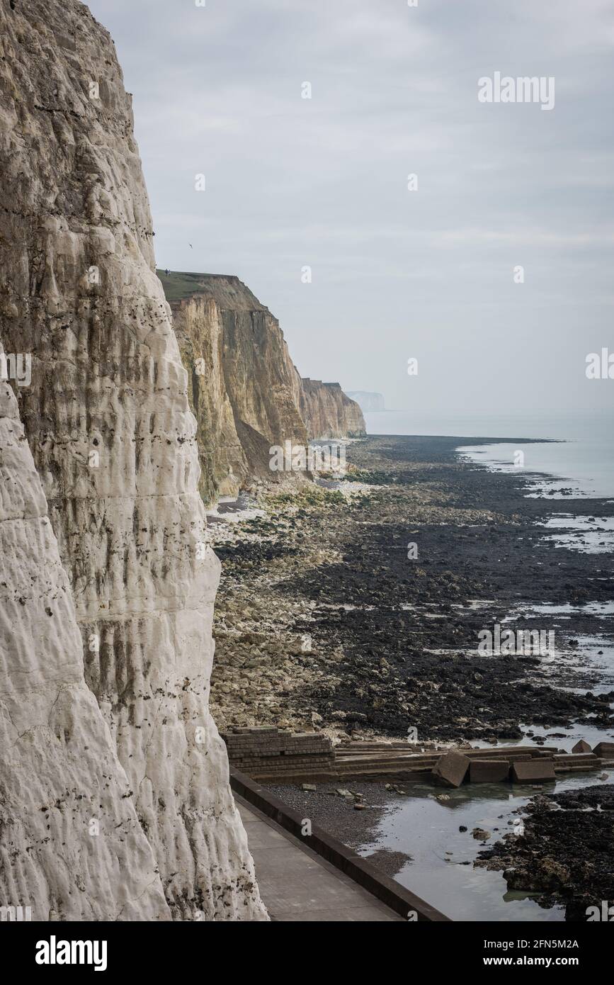 The chalk cliffs and undercliff between Peacehaven and Newhaven in