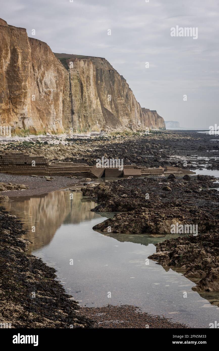 The chalk cliffs and undercliff between Peacehaven and Newhaven in