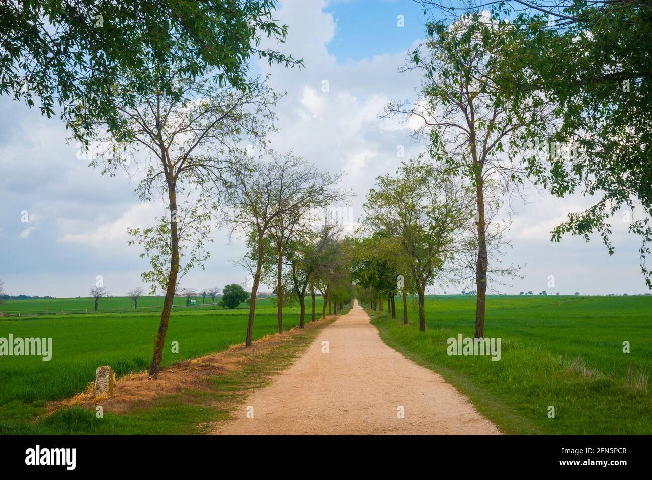 Path and landscape. Stock Photo