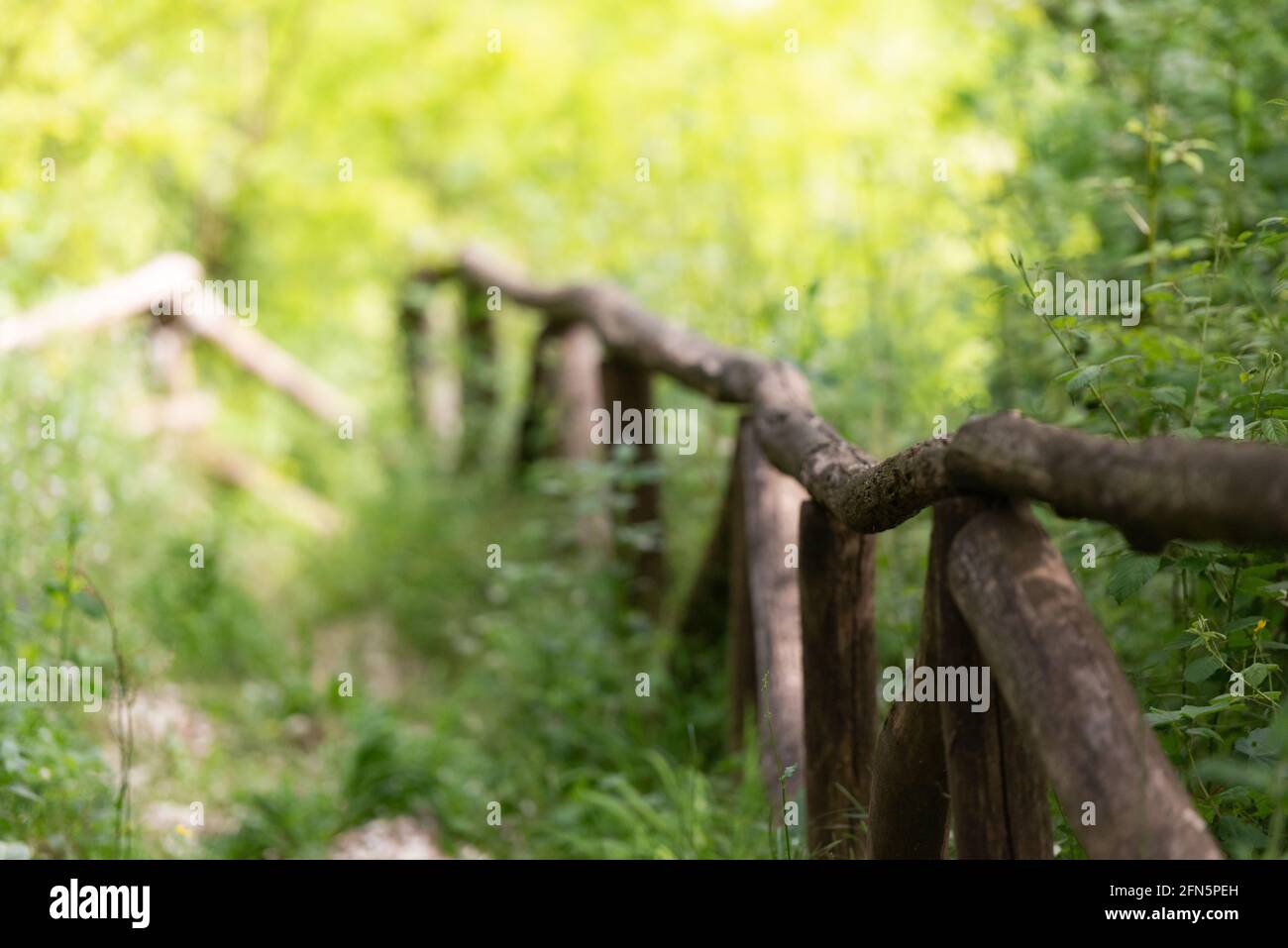 Forest Railing Scene Wooden railing made of old wood. A forest path descends into a ravine ...