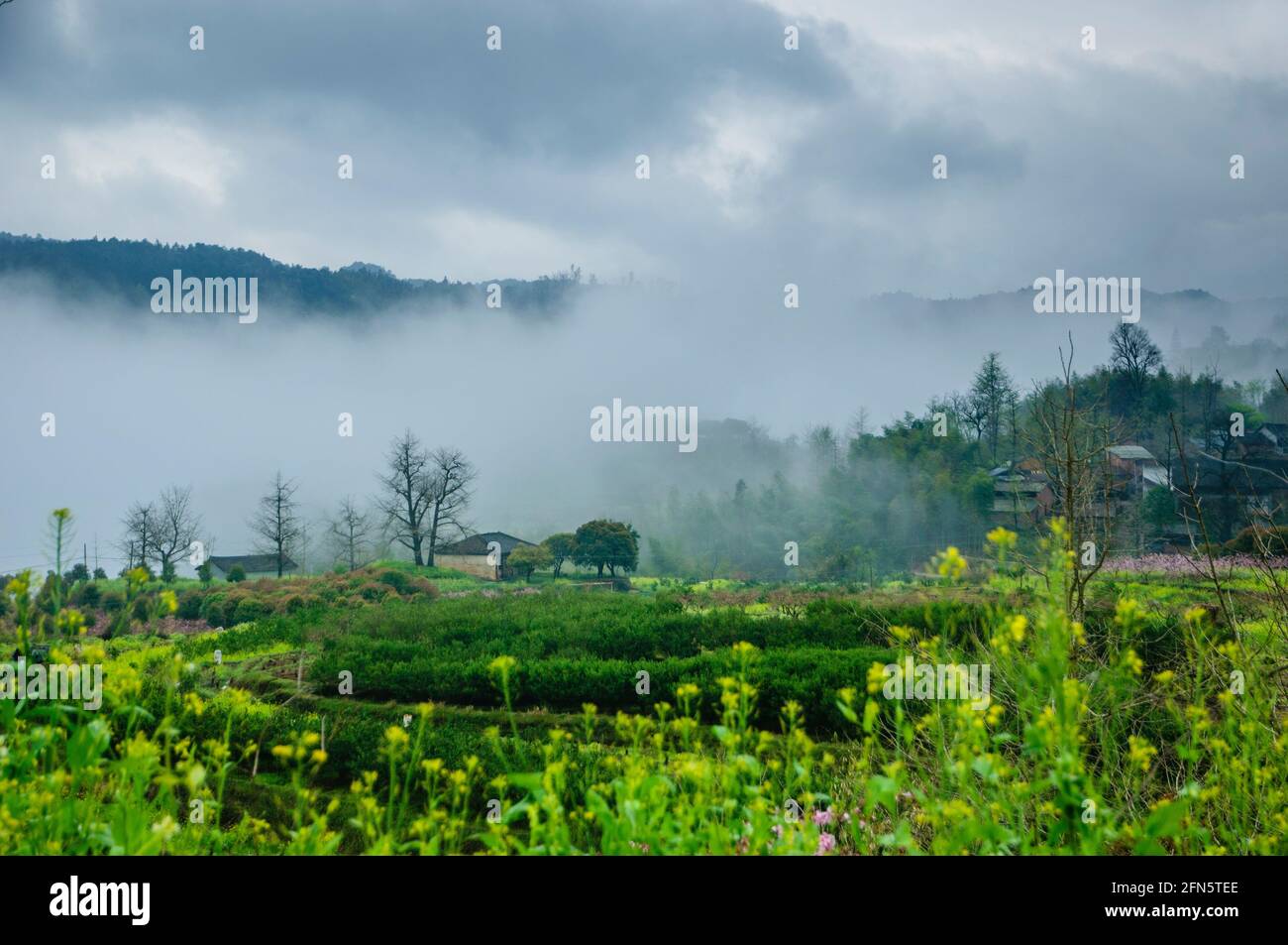 Mountain scenery in spring Stock Photo - Alamy