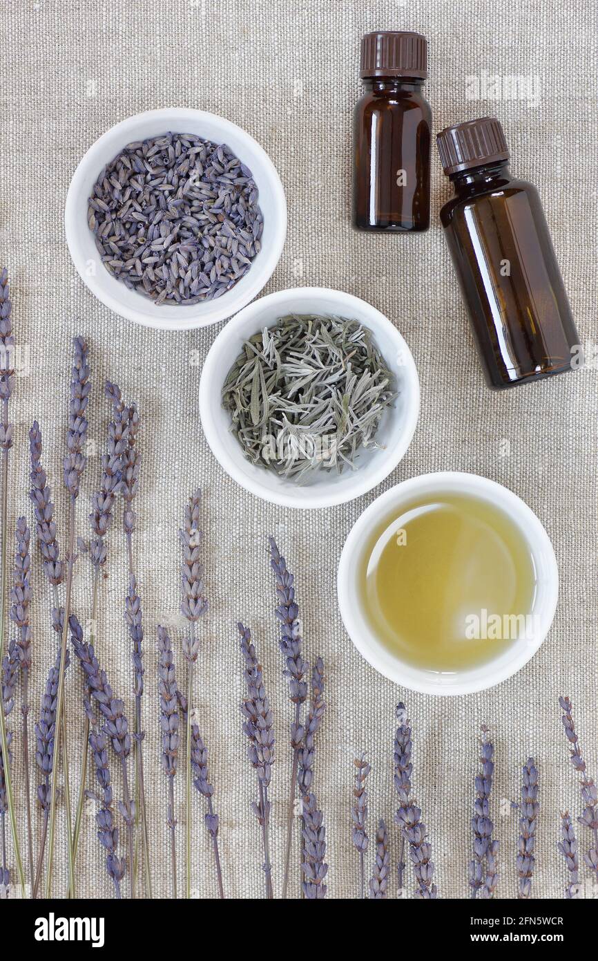Lavender essential oil, dry herb in a bowl with flowers nearby, closeup, from above overhead top view, natural medicine, naturopathy, organic cosmetic Stock Photo