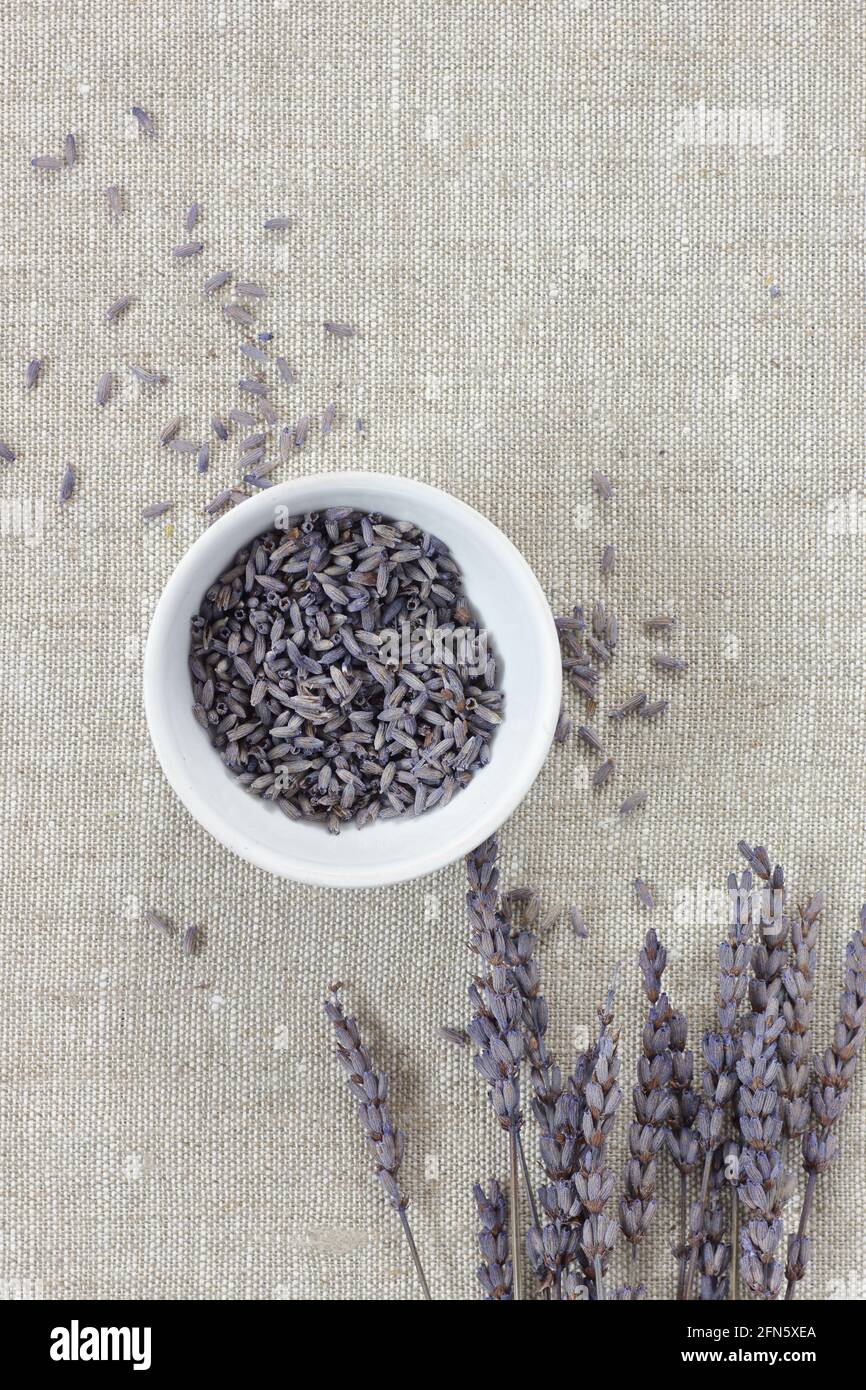 Lavender dry herb in a bowl with flowers nearby, closeup, from above overhead top view, natural medicine, naturopathy, organic cosmetics, sleep tea, s Stock Photo