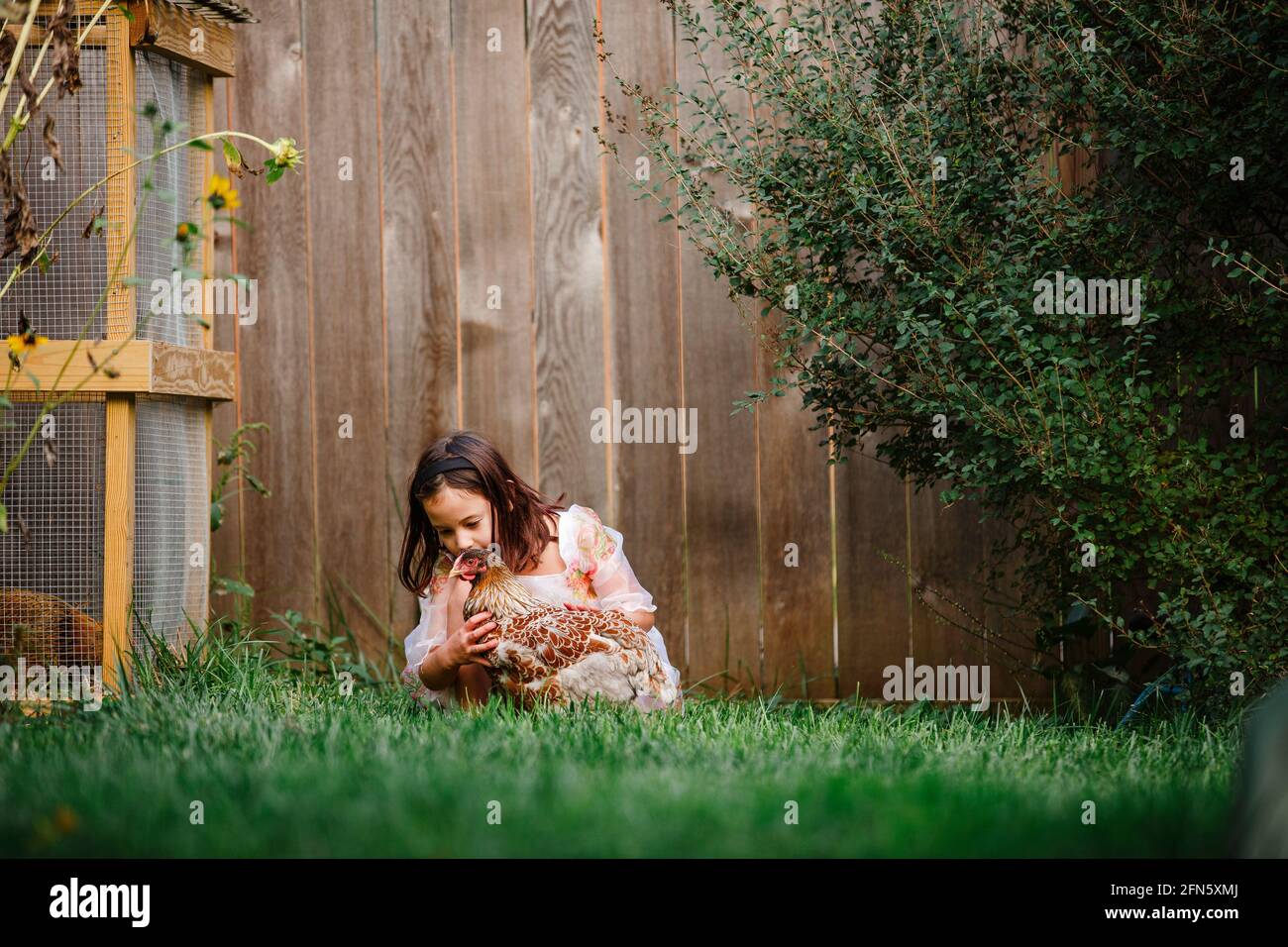 A cute little girl plays with a chicken in a flower-filled backyard Stock Photo