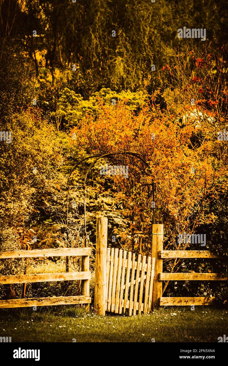 Rustic rural beauty in a unkempt country fence in countrified style. Gates  in fall Stock Photo - Alamy