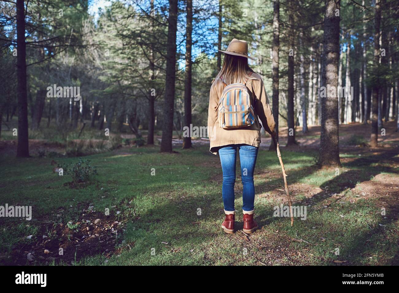 Woman on the mountain. She is in a forest with pine trees Stock Photo ...