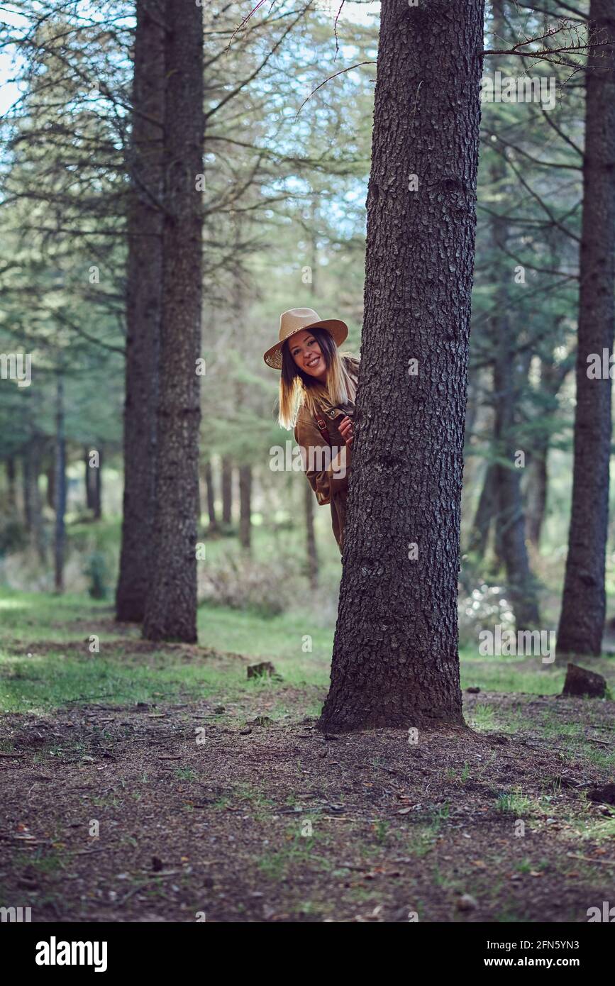 Woman on the mountain. She is in a forest with pine trees Stock Photo ...