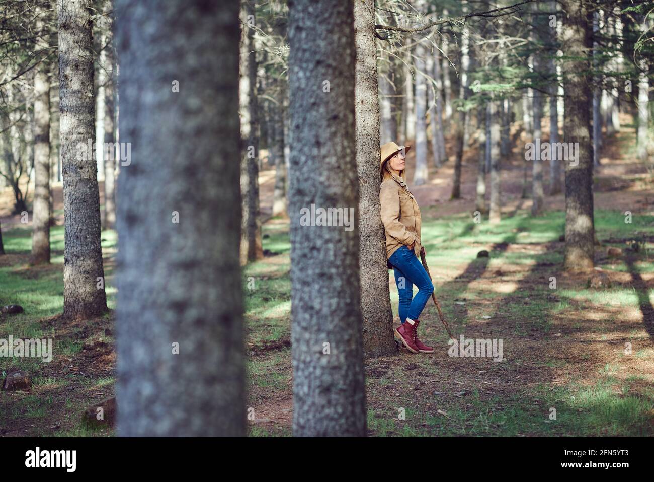 Woman on the mountain. She is in a forest with pine trees Stock Photo ...