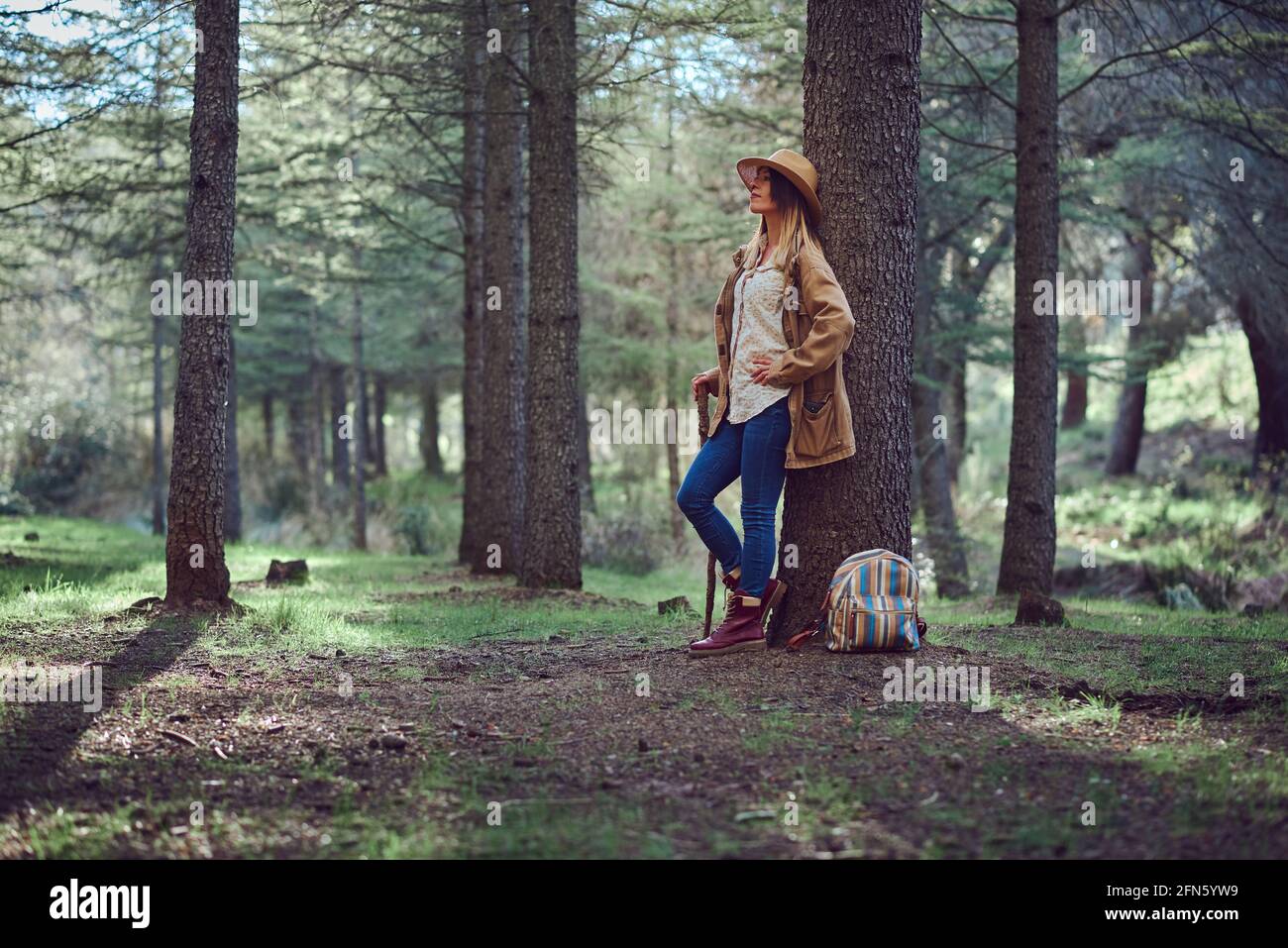 Woman on the mountain. She is in a forest with pine trees Stock Photo ...