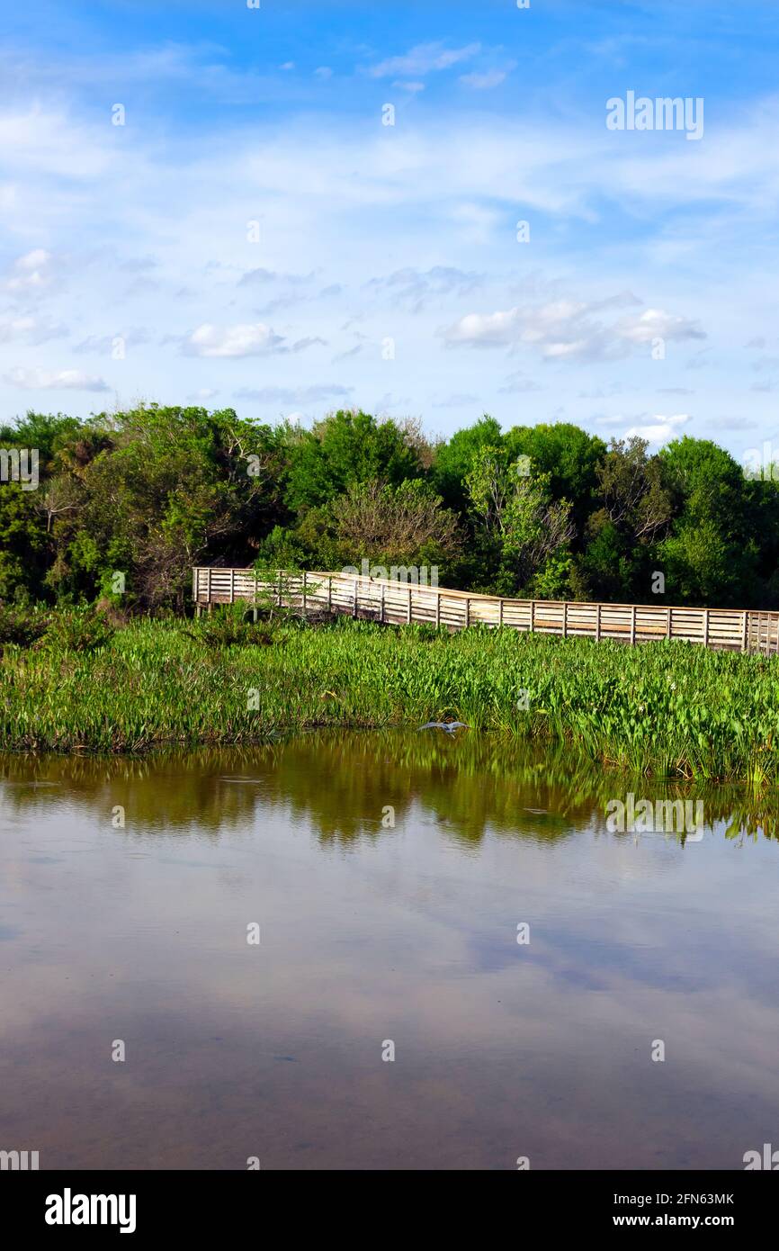 Elevated boardwalk in Green Cay Nature Center and Wetlands, Boynton Beach, Palm Beach County, Florida, United States. Stock Photo