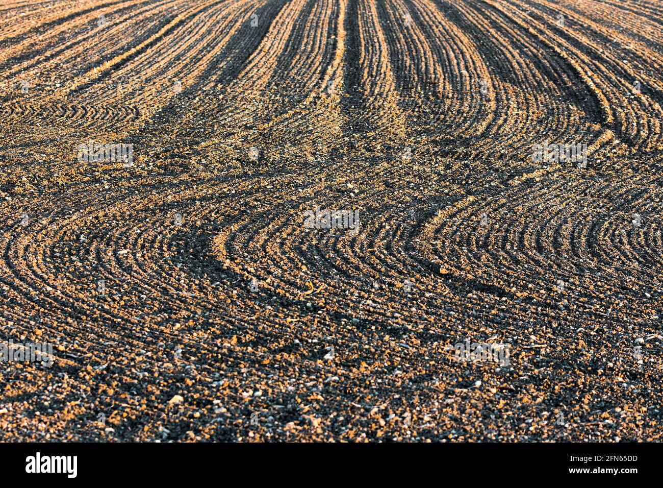 Curved lines made by farm seeding machine - central France. Stock Photo