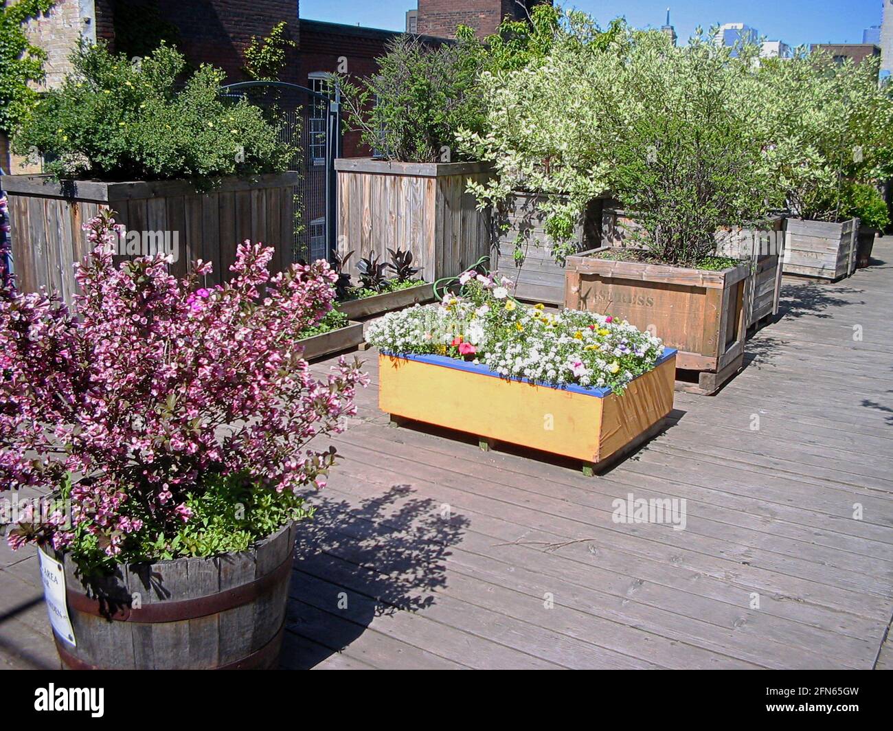 Rooftop gardens - Downtown urban growers use containers to grow plants Stock Photo