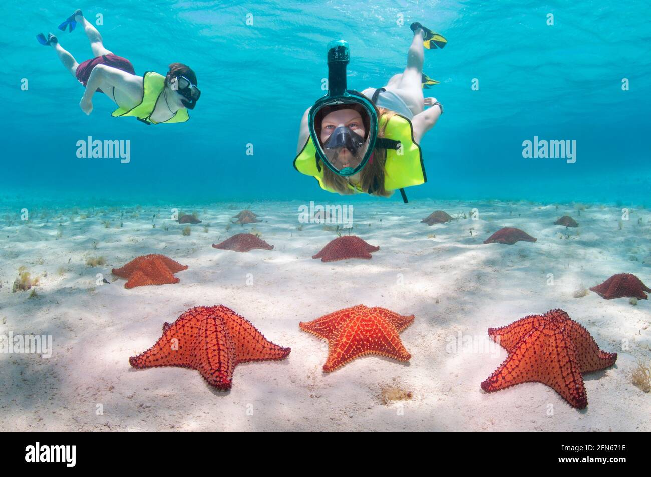 Couple snorkelling in the Caribbeans Stock Photo