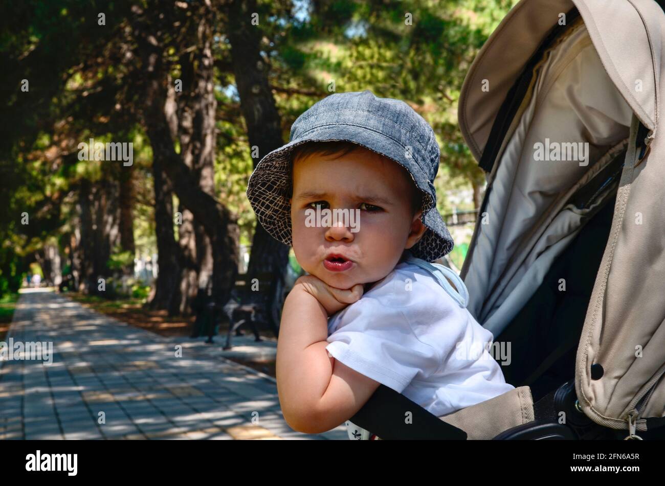 The child sits in a stroller and stares indignantly at the camera, on a walk in a pine park, stopping at the beginning of a shady alley. Stock Photo