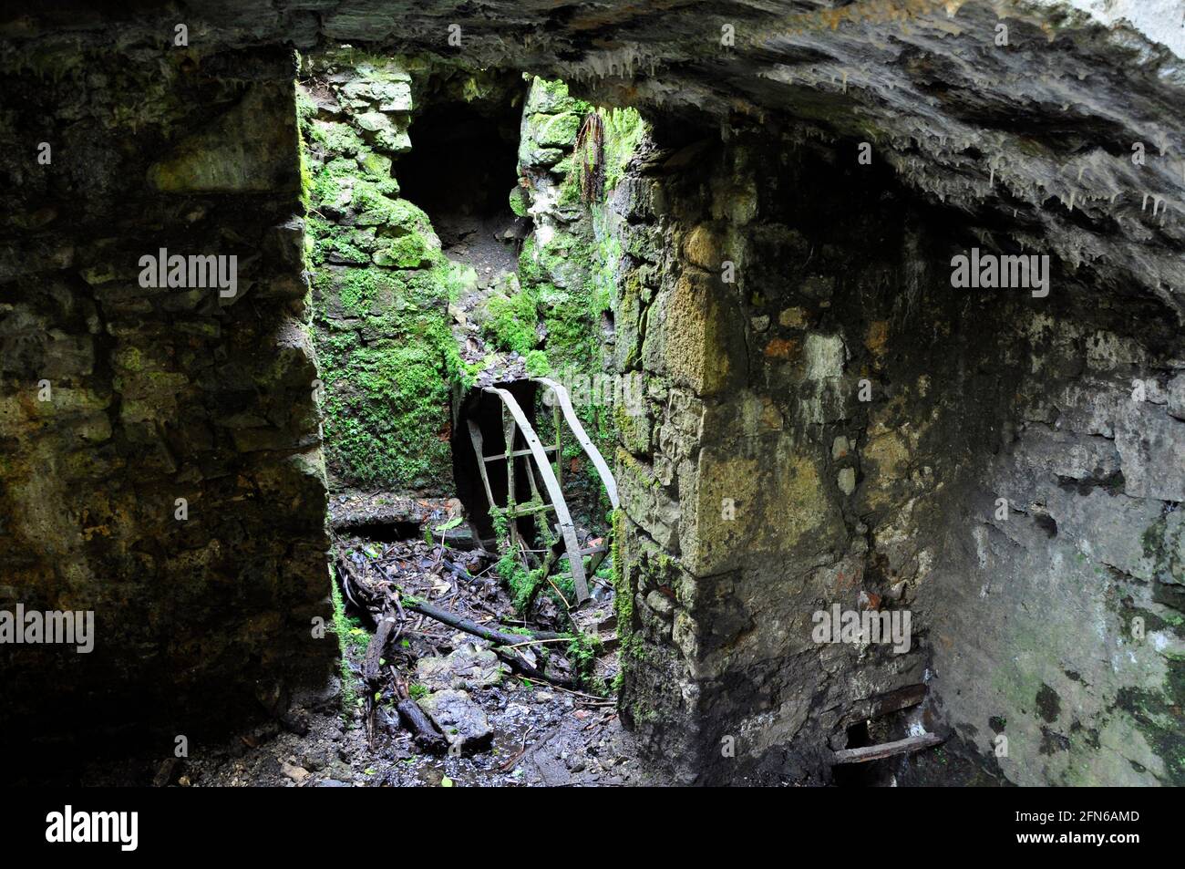 Remains of a water wheel at the Old Iron Works, Mells , Fussells' Lower Works.This is a biological Site of Special Scientific Interest, in the Wadbury Stock Photo