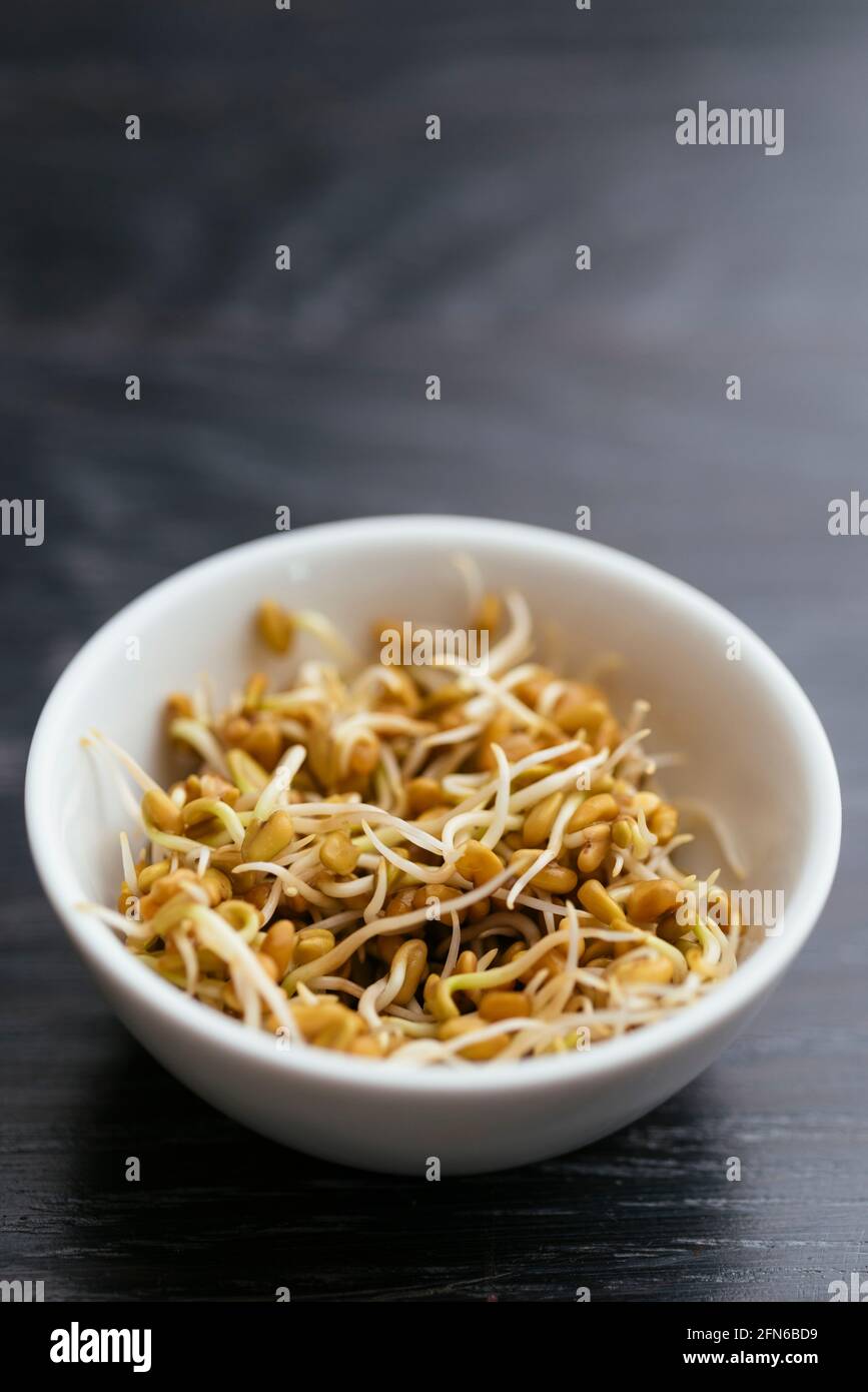 Fresh Fenugreek sprouts in a bowl Stock Photo