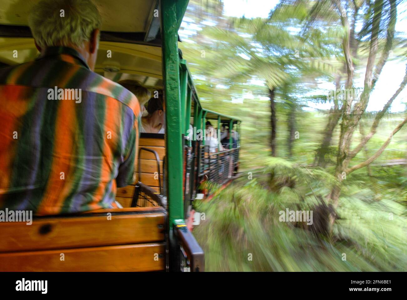 A train ride on the narrow-gauge Driving Creek Railway brings tourists from the pottery business near Coromandel up into dense bushland and forest with native trees. Stock Photo
