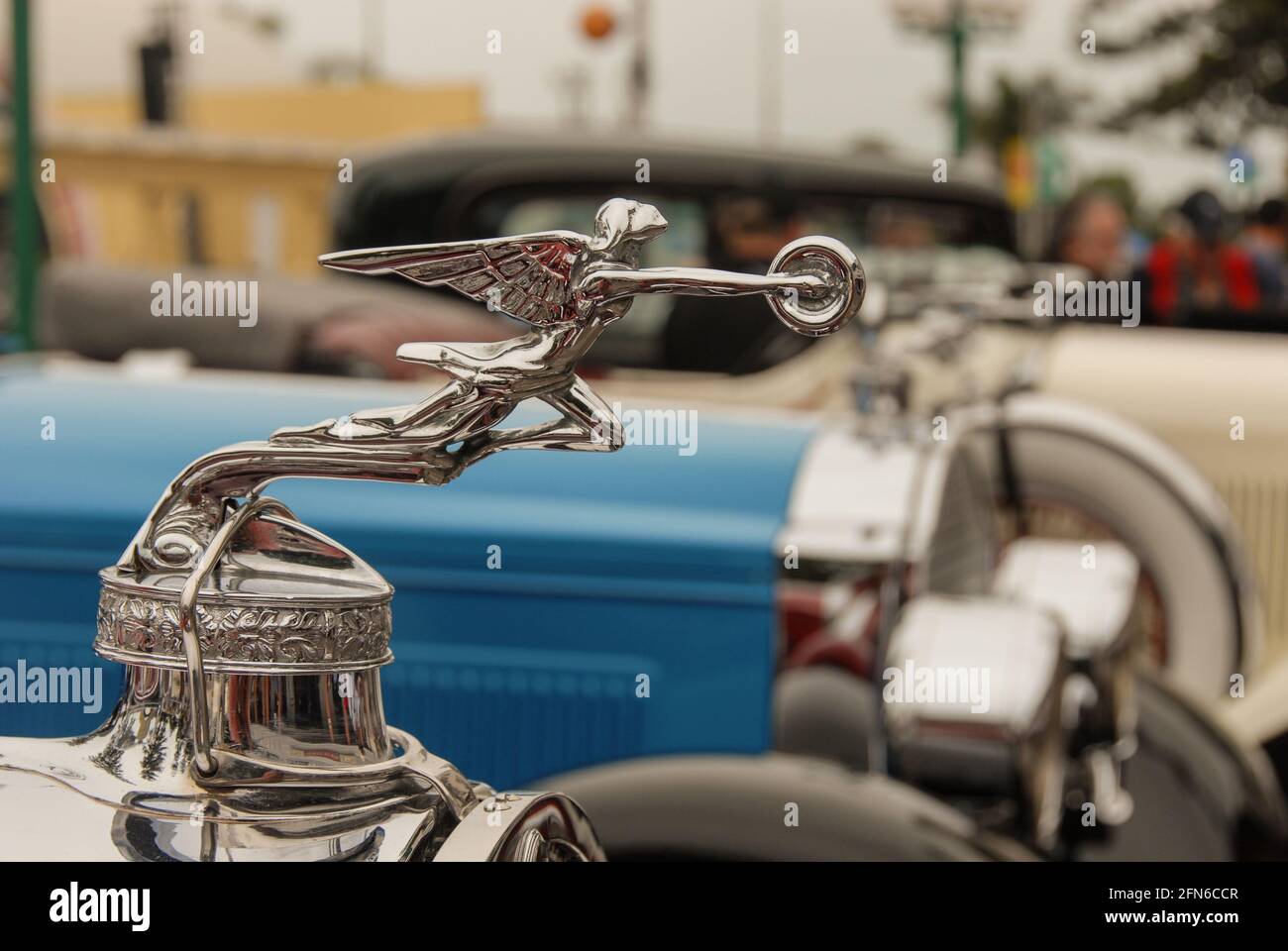 Hood Ornament of a Packard classic car at Art Deco Weekend in Napier. Stock Photo