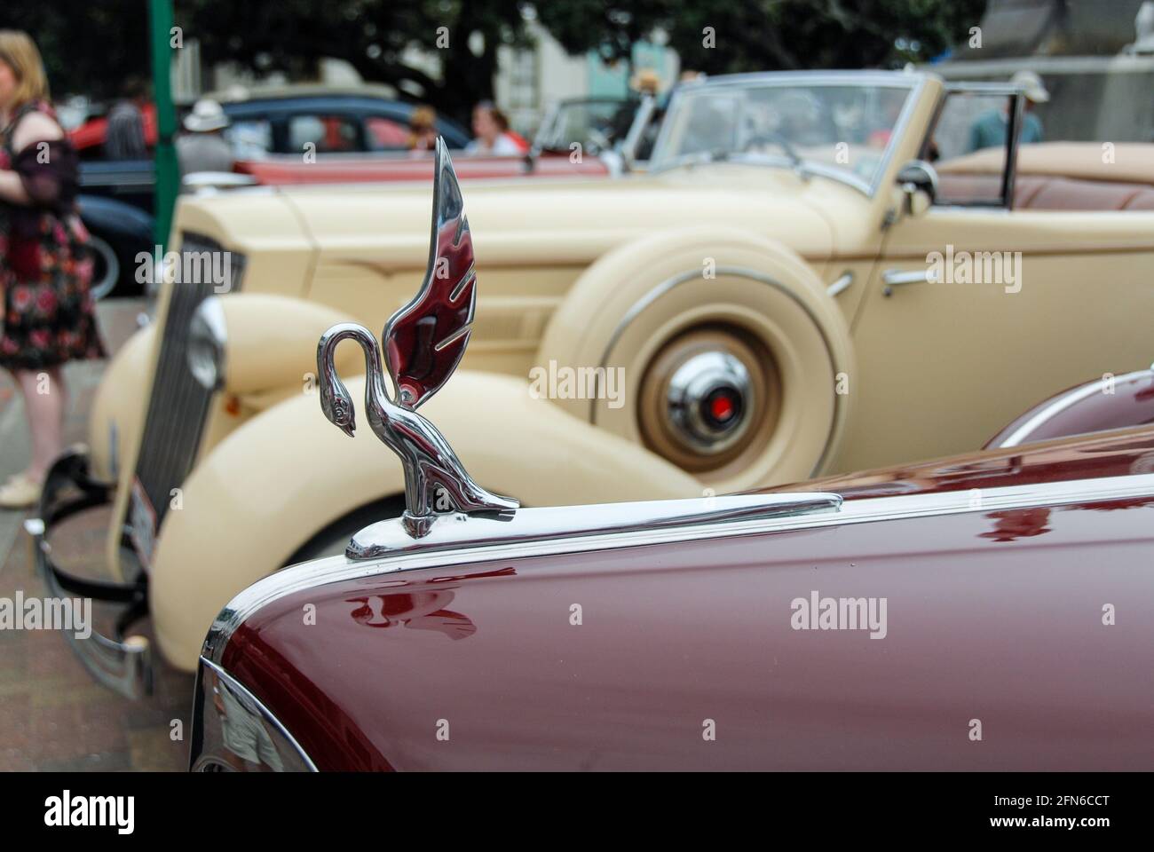 Hood Ornament of a Packard Super Eight One-Sixty cabriolet classic car at Art Deco Weekend in Napier. Stock Photo