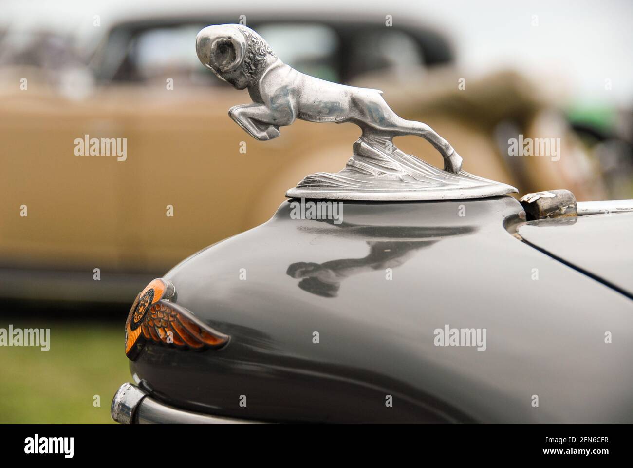 Chrome and polish: Hood Ornament of a Dodge classic car at Art Deco Weekend in Napier. Stock Photo