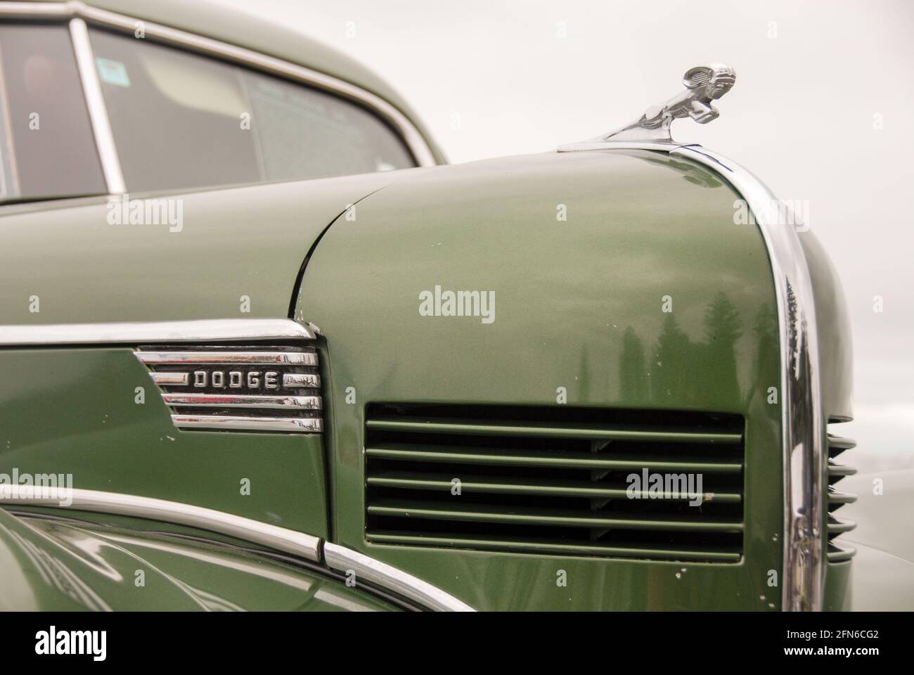 Chrom und Glanz: Kühlerfigur eines historischen Dodge beim Art Deco Weekend in Napier. - Chrome and polish: Hood Ornament of a Dodge classic car at Art Deco Weekend in Napier. Stock Photo