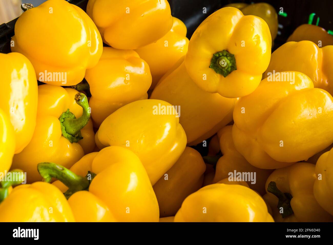Georgia on My Mind - Union County Farmers Market - Yellow Bell Peppers Stock Photo