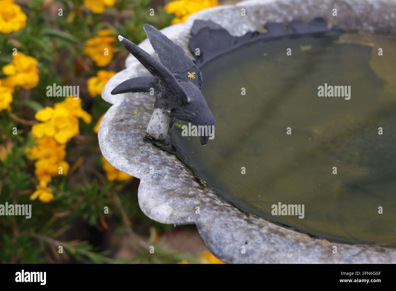 Small garden bird bath, UK Stock Photo Alamy