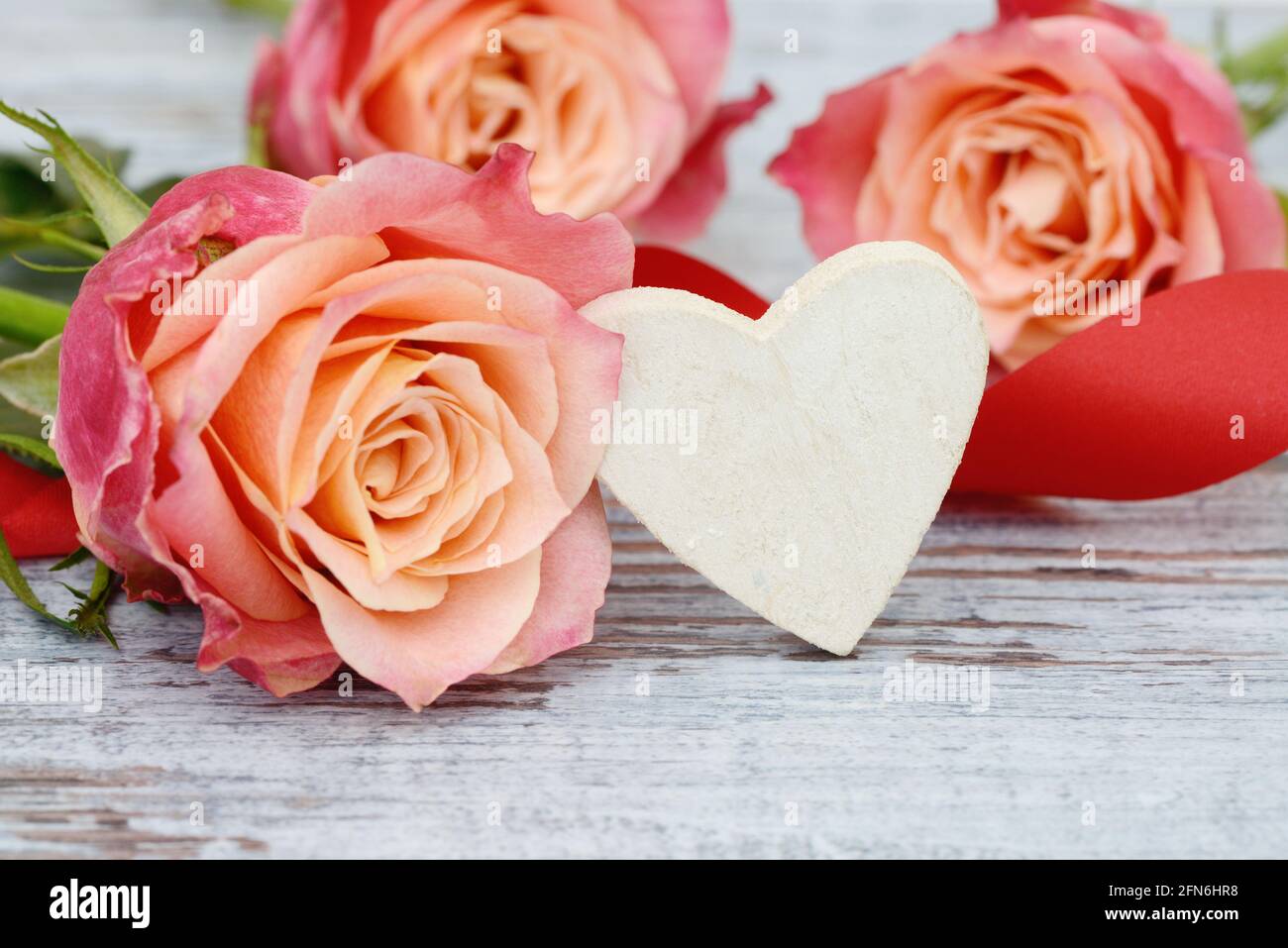 roses with white heart on wood Stock Photo