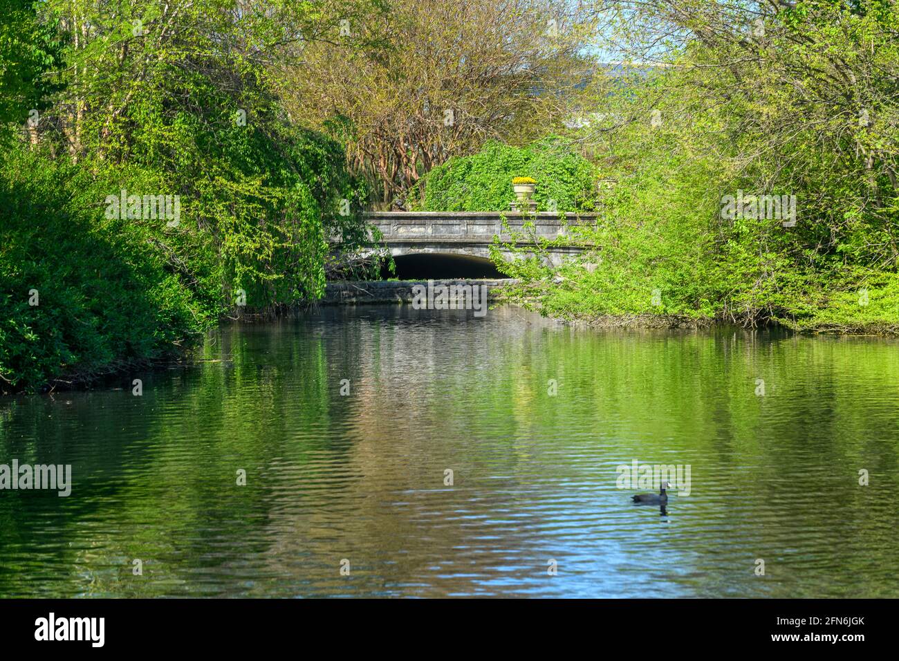 Foot bridge at Centennial Park with reflections in Lake Wautaga, Nashville,  Tennessee Stock Photo
