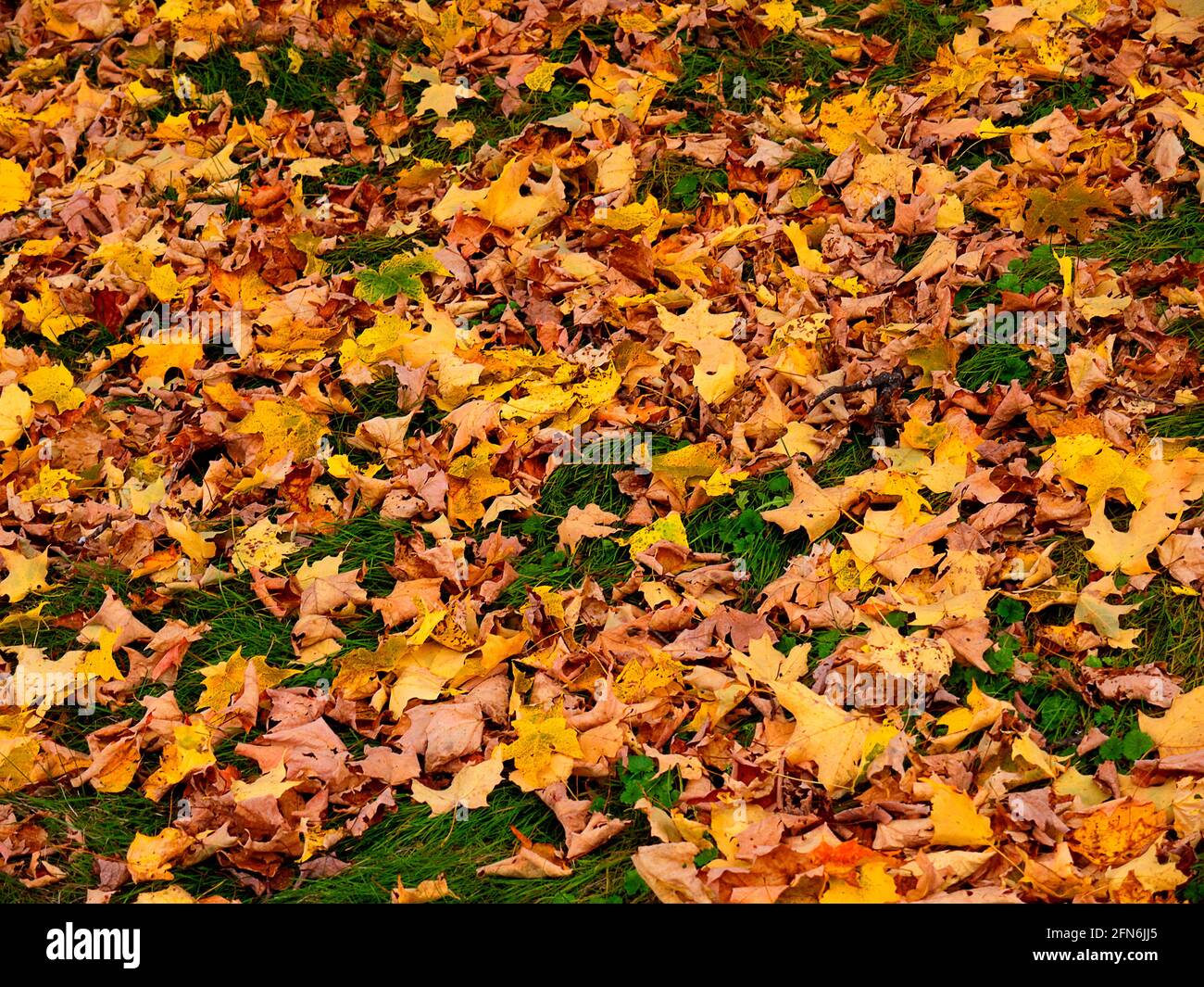 The Rivers, Lakes and Mountains of the New England States in Autumn Splendour. Tourists come to see the Fall Colours that are amazing Stock Photo